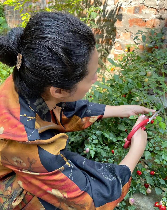 Tại đây, nghệ sĩ Thanh Thanh Hiền trồng rất nhiều cây ăn trái và hoa tươi. Ảnh: FB Thanh Thanh Hiền