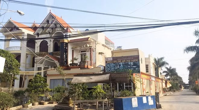 Xã Hải Minh có nền kinh tế đa dạng, gồm nông nghiệp (trồng lúa), mây tre đan xuất khẩu và nghề cây cảnh tuy nhiên nổi danh nhất là ngành đồ gỗ mỹ nghệ cao cấp. Ảnh: Người đưa tin