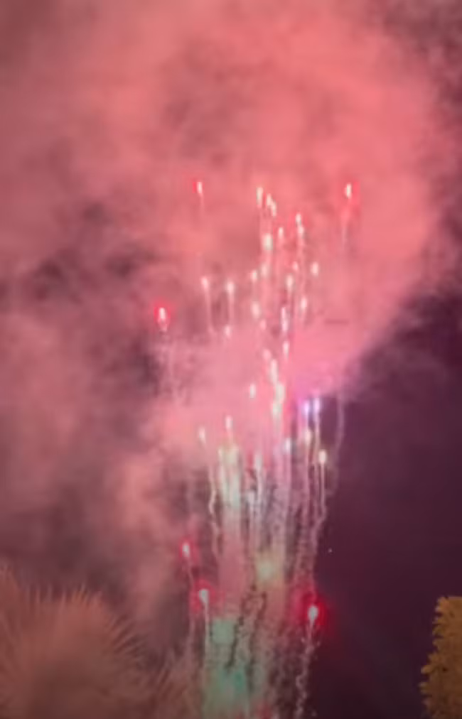 Trước đó, Bảo Thy còn thông báo sẽ bắn pháo hoa vào đêm giao thừa làm dân tình nôn nao xem cách nhà giàu ăn Tết. Nguồn ảnh: Instagram, FBNV