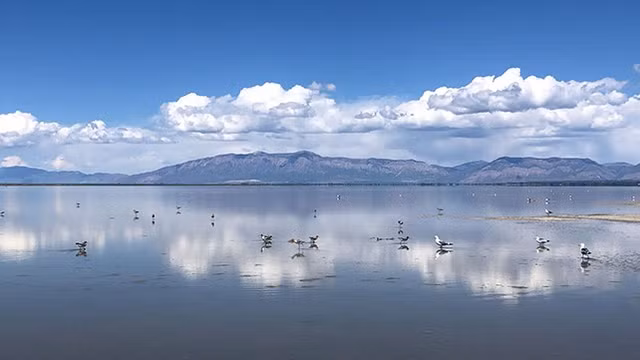 greatsaltlake.jpg