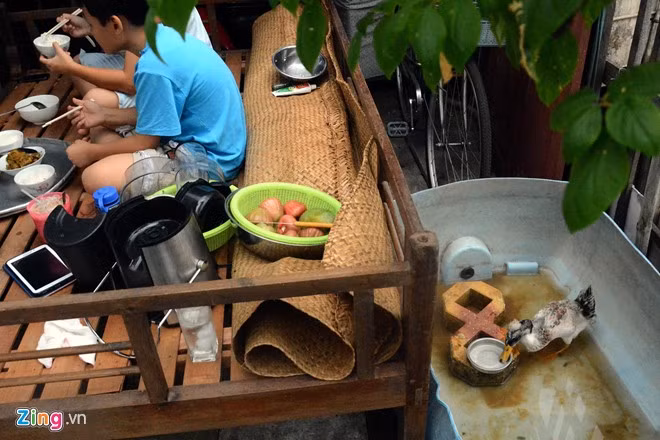 Một gia đình dùng bể nước để nuôi vịt phía sau nhà, nơi sinh hoạt hàng ngày của họ.