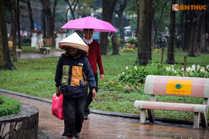 Cụ bà này từ chối mọi sự hỏi thăm, chỉ lầm lũi đi trên vỉa hè, thỉnh thoảng ngó vào những thùng rác để nhặt nhạnh phế liệu.