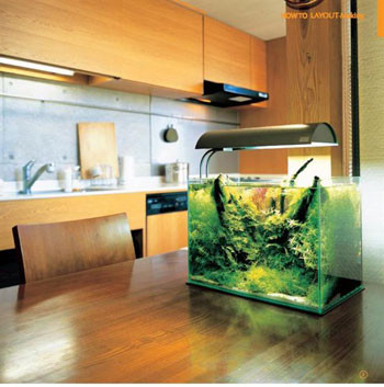 8. Theo quan niệm Phong thủy, bể cá thường để tụ Tài, hoặc nhiều người thích để bể cá cho đẹp, để trang trí nhưng người mạng kỵ Thủy không nên đặt bể cá trong nhà.