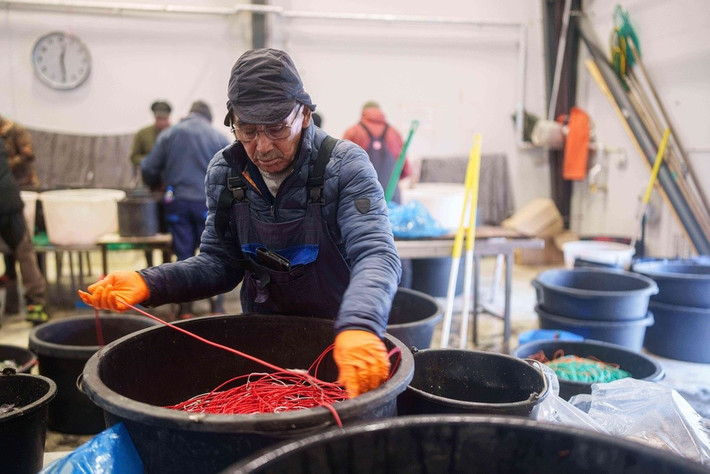 Một ngư dân chuẩn bị dây câu tại cảng Nuuk, Greenland, ngày 14/1.
