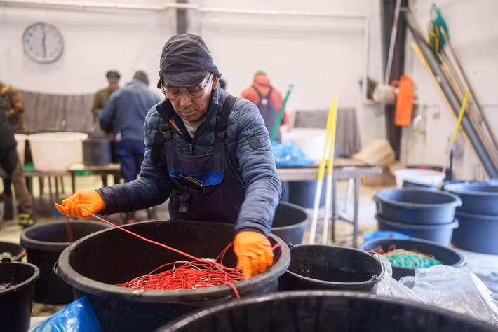 Một ngư dân chuẩn bị dây câu tại cảng Nuuk, Greenland, ngày 14/1.