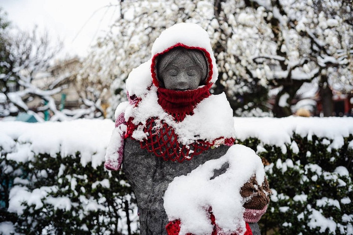 Nhiều dịch vụ đường sắt trên toàn quốc tạm ngừng hoạt động hoặc bị chậm chuyến do tuyết rơi. Tại khu vực Kanto, tính đến 17 giờ chiều 8/2, các tuyến Ito, Kashima, Narita và Sobu tạm ngừng hoàn toàn. Tuyến Hokuriku Shinkansen cũng bị chậm chuyến. Ảnh: Một bức tượng phủ đầy tuyết gần chùa Sensoji ở Asakusa, Tokyo. Ảnh: Japan Times.