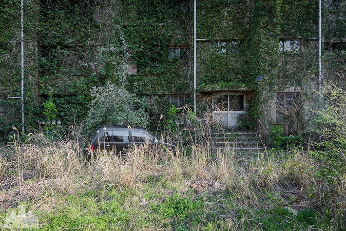 Nhiều cơ sở vật chất và tòa nhà trên đảo trong tình trạng xuống cấp.