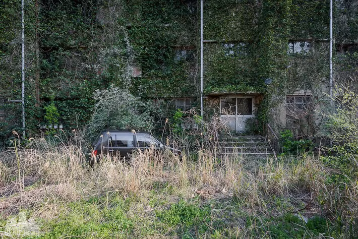 Nhiều cơ sở vật chất và tòa nhà trên đảo trong tình trạng xuống cấp.