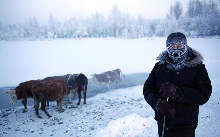 Cuộc sống ở Oymyakon thực sự rất khắc nghiệt.