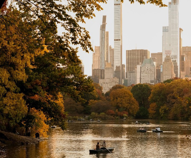 Thành phố New York trở thành bối cảnh cho nhiều chương trình truyền hình kinh điển hơn bất kỳ nơi nào khác.