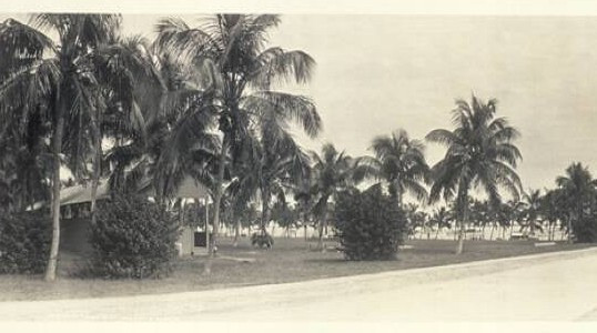 Thành phố Miami, Florida, năm 1912.