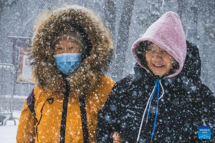 Tuyết rơi trắng xóa ở Trường Xuân ngày 23/12.