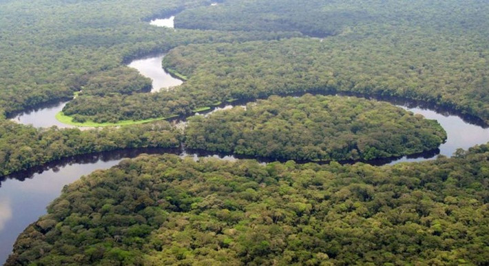 Lưu vực Congo ở Châu Phi với khu rừng nhiệt đới rộng lớn và dòng sông uốn lượn tạo nên khung cảnh thiên nhiên ấn tượng. Đây là nơi trú ngụ của nhiều loài động vật.