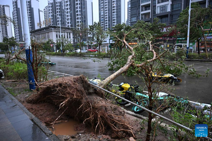 Sức gió mạnh nhất gần tâm bão lên tới 40 m/s, khiến nhiều cây cối gãy đổ, công trình bị hư hại,...ở thành phố Dương Giang. Ảnh: THX.