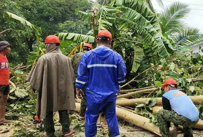 Nhiều cây cối ở Philippines gãy đổ trong bão Bualoi.