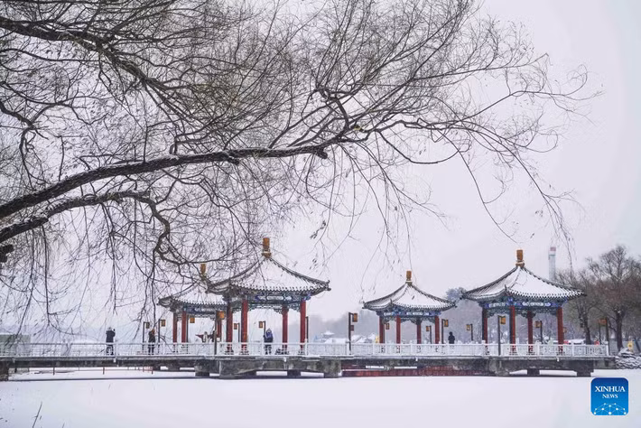Du khách ngắm cảnh tuyết rơi tại một công viên ở Trường Xuân.