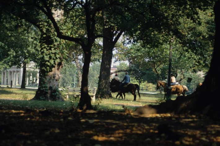 Một nhóm người cưỡi ngựa qua công viên. Ảnh: Facebook.