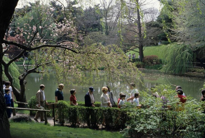 Du khách đến thăm Vườn bách thảo Brooklyn. Ảnh: Facebook.