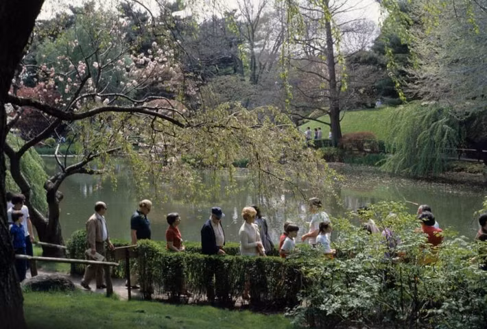 Du khách đến thăm Vườn bách thảo Brooklyn. Ảnh: Facebook.