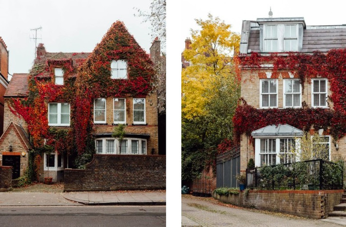 Một góc yên bình trong khu phố ở Hampstead vào mùa thu.