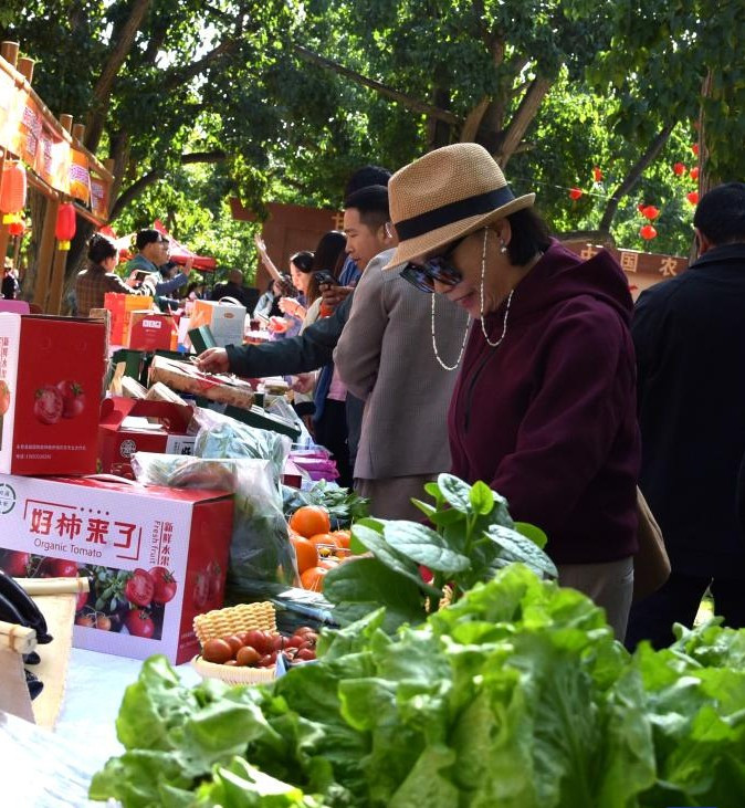 Người dân lựa chọn nông sản địa phương tại lễ hội được tổ chức ở Cao Lan, Lan Châu, tỉnh Cam Túc, ngày 23/9/2025. Ảnh: THX.