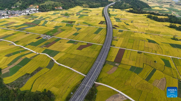 Quang cảnh cánh đồng lúa ở thị trấn Hehua, thành phố Tengchong, tỉnh Vân Nam, nhìn từ trên cao ngày 23/10.