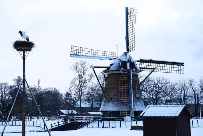 Khi tuyết rơi khắp Hà Lan, sân bay Schiphol ở Amsterdam báo cáo rằng khoảng 600 chuyến bay bị hoãn trong ngày do các đội ngũ nhân viên phải dọn dẹp đường băng. Dự báo, tuyết tiếp tục rơi trong những ngày tới. Ảnh: Cối xay gió De Vlieger đứng sừng sững giữa cánh đồng tuyết ở thị trấn Voorburg, ngoại ô thành phố The Hague, Hà Lan, ngày 6/1/2026. Ảnh: AP.