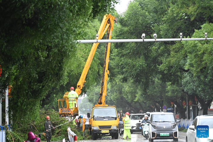 Gió mạnh cũng làm đổ hơn 4.000 cây xanh ở Bắc Hải, cản trở giao thông. Chính quyền thành phố đã huy động lực lượng dọn dẹp đống đổ nát và khôi phục giao thông.