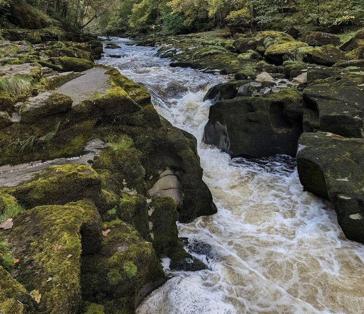 Bolton Strid trông có vẻ thanh bình, nhưng đoạn sông thơ mộng này ở Anh lại chứa đựng "bí mật" đáng sợ: Nó rất sâu, hẹp và có dòng chảy mạnh. Theo người dân địa phương, bất cứ ai rơi xuống đây đều không sống sót.