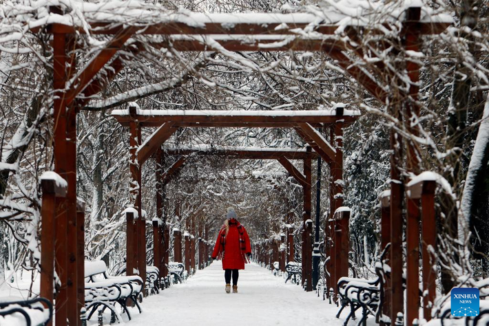 Người phụ nữ đi bộ trong công viên phủ tuyết trắng xóa.