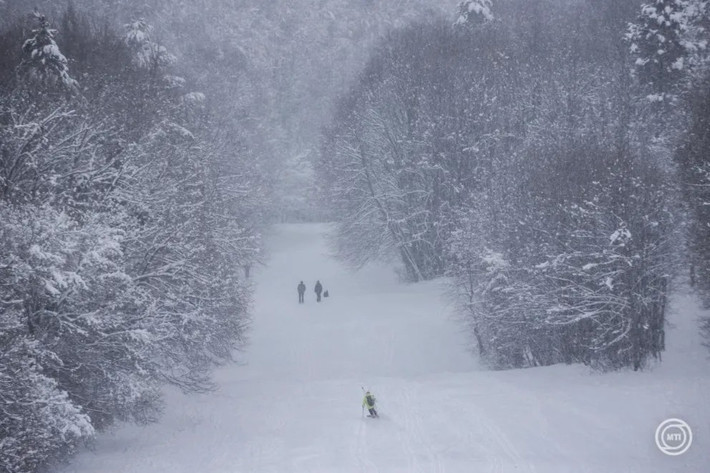 Tầm nhìn cũng bị hạn chế ở những khu vực bị ảnh hưởng bởi tuyết rơi, khiến giao thông ùn tắc đáng kể. Ảnh: Tuyết rơi dày đặc ở vùng Mecsek. Ảnh: MTI/Judit Ruprech.