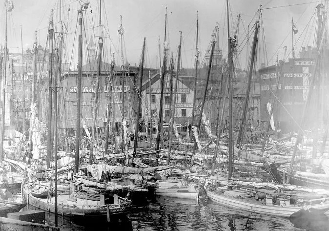 Đội tàu đánh bắt hàu tại cảng Baltimore, Maryland, năm 1885.