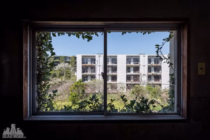 Tính đến năm 2021, chỉ còn khoảng 111 người, chủ yếu là thợ mỏ đã nghỉ hưu hoặc người thân của họ, vẫn ở trên đảo.