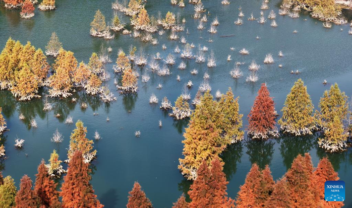 Ảnh chụp từ máy bay không người lái này vào ngày 14/12/2025 cho thấy phong cảnh mùa đông của một vùng đất ngập nước ở Côn Minh, tỉnh Vân Nam, tây nam Trung Quốc.