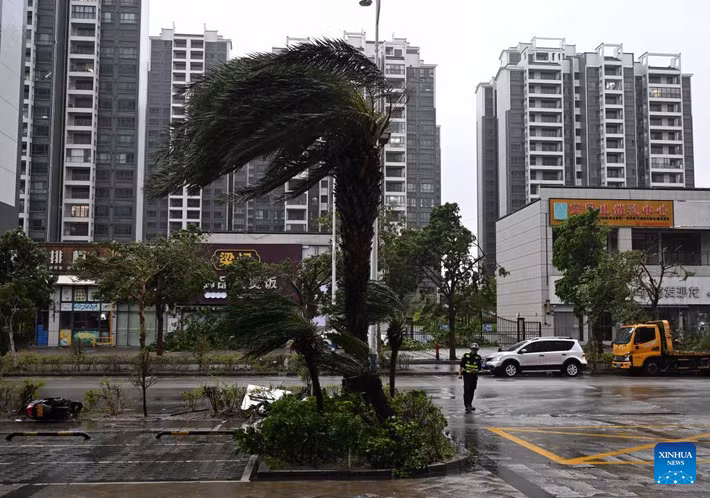 Theo Tân Hoa Xã, bão Ragasa, mang theo gió mạnh và mưa lớn, đã đổ bộ vào đảo Hailing ở thành phố Dương Giang, tỉnh Quảng Đông, ngày 24/9. Ảnh: THX.