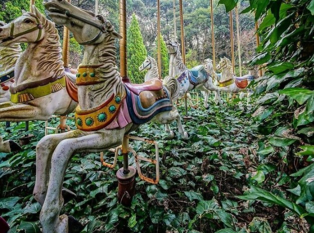 Bên trong một công viên giải trí bị bỏ hoang ở Nhật Bản đã bị thiên nhiên "xâm chiếm".