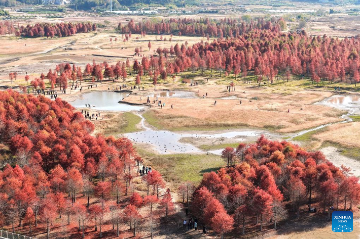 Ảnh chụp từ máy bay không người lái này vào ngày 14/12/2025 cho thấy phong cảnh mùa đông tại một địa điểm ở Taizhou, tỉnh Chiết Giang, miền đông Trung Quốc.