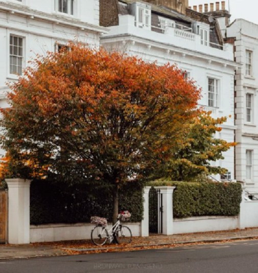 Đường Elgin Crescent và Portland ở Notting Hill, London, ngập tràn sắc lá thu tuyệt đẹp.