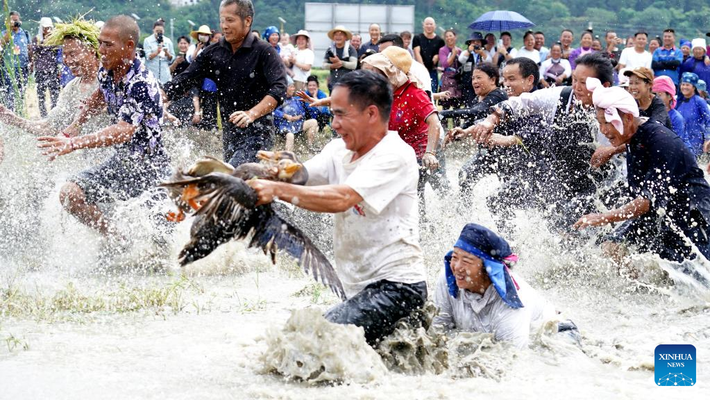 Người dân tham gia cuộc thi bắt vịt tại lễ hội ở huyện Dung Giang, tỉnh Quý Châu. Ảnh: THX.