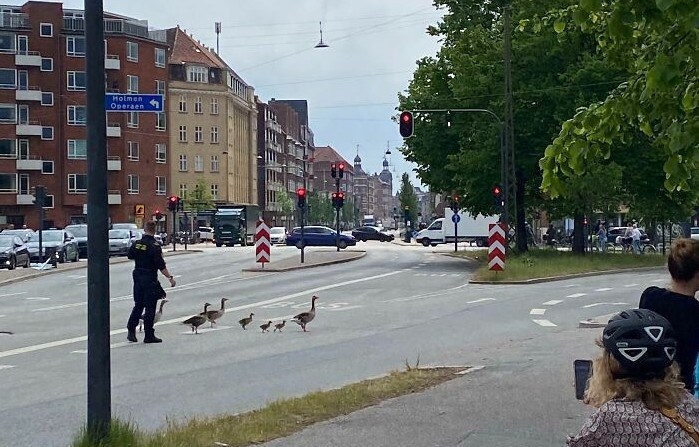 Bức ảnh này chụp tại thủ đô Copenhagen.