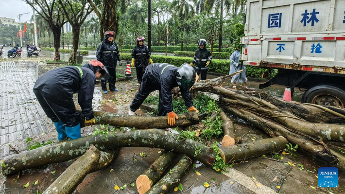 Nhân viên vệ sinh dọn dẹp cây đổ tại thành phố Khâm Châu ngày 6/10.