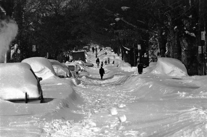 Công viên Boro sau một trận bão tuyết vào khoảng năm 1983-1984. Ảnh: Flickr.