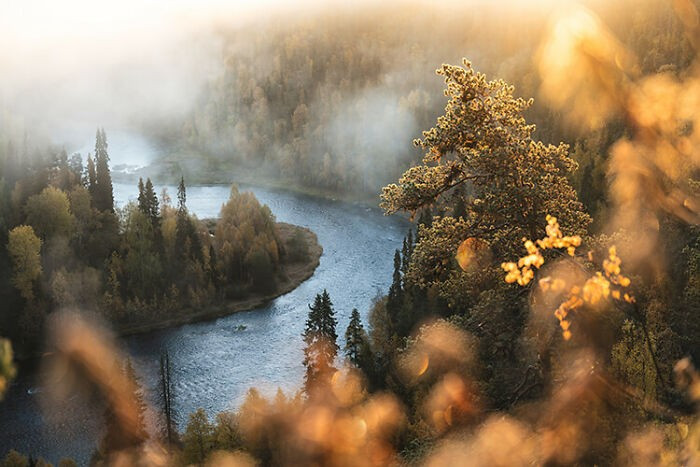 Thung lũng sông Oulanka nằm trong Vườn quốc gia Oulanka, Phần Lan. Đây là một khu vực thiên nhiên đa dạng với các đặc điểm nổi bật như rừng nguyên sinh, đầm lầy, hệ thống sông với thác nước hùng vĩ,...Sương mù khiến khung cảnh mùa thu nơi đây lúc bình minh thật hoàn hảo.