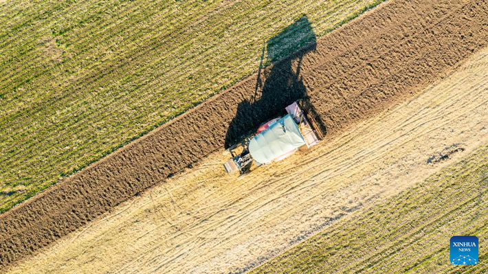 Bức ảnh chụp tại một cánh đồng ở Thương Khâu, tỉnh Hà Nam, miền trung Trung Quốc, ngày 19/11.