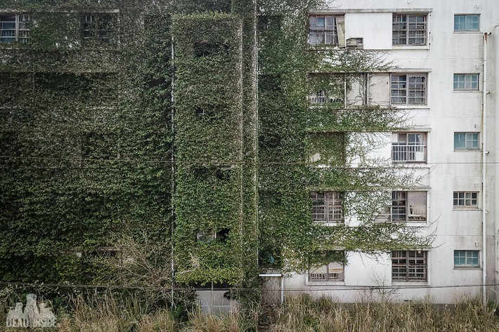 Các khu nhà ở cao tầng được xây dựng cho công nhân trên đảo. Năm 1985, sản lượng than đạt mức cao nhất là hơn 1,5 triệu tấn.