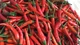 Từ gia vị rẻ tiền, ớt thành mặt hàng “xa xỉ”