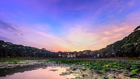 Du xuân Trà Vinh: Trải nghiệm nét văn hóa độc đáo và bình yên ngày Tết