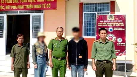 Cảnh báo thủ đoạn mời chào lao động lương cao qua TikTok, Telegram