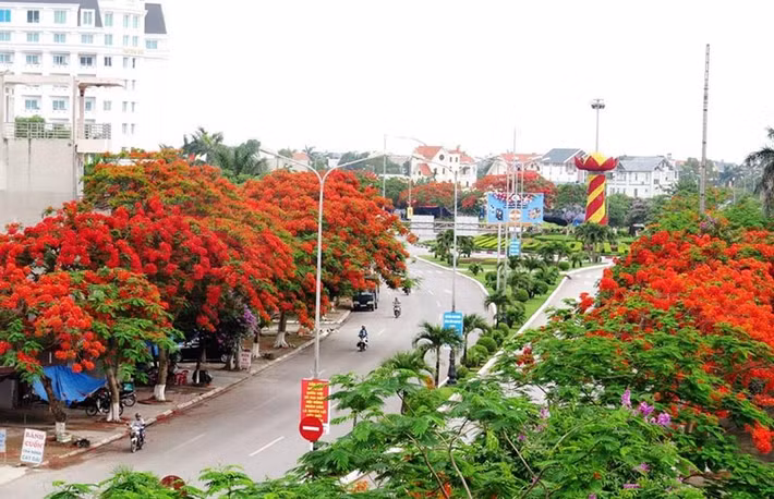 Hải Phòng (1.527,4 km2). Hải Phòng từ lâu đã nổi tiếng là một cảng biển lớn nhất ở miền Bắc. Hoa phượng đỏ được trồng rộng rãi khiến nơi này được biết đến với mỹ danh Thành phố Hoa Phượng Đỏ. Hải Phòng nổi tiếng với: Đồ Sơn, đảo Cát Bà, vịnh Lan Hạ...