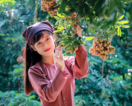 Hưng Yên (926 km2): Nơi đây có nhiều di tích lịch sử văn hóa nổi tiếng như đền Đa Hòa, đền Dạ Trạch gắn liền với truyền thuyết Chử Đồng Tử - Tiên Dung công chúa. Đặc biệt, quần thể di tích Phố Hiến minh chứng cho một thời thịnh vượng của mảnh đất "Thứ nhất Kinh Kỳ, thứ nhì Phố Hiến". Tỉnh còn có đặc sản nhãn lồng nổi tiếng.